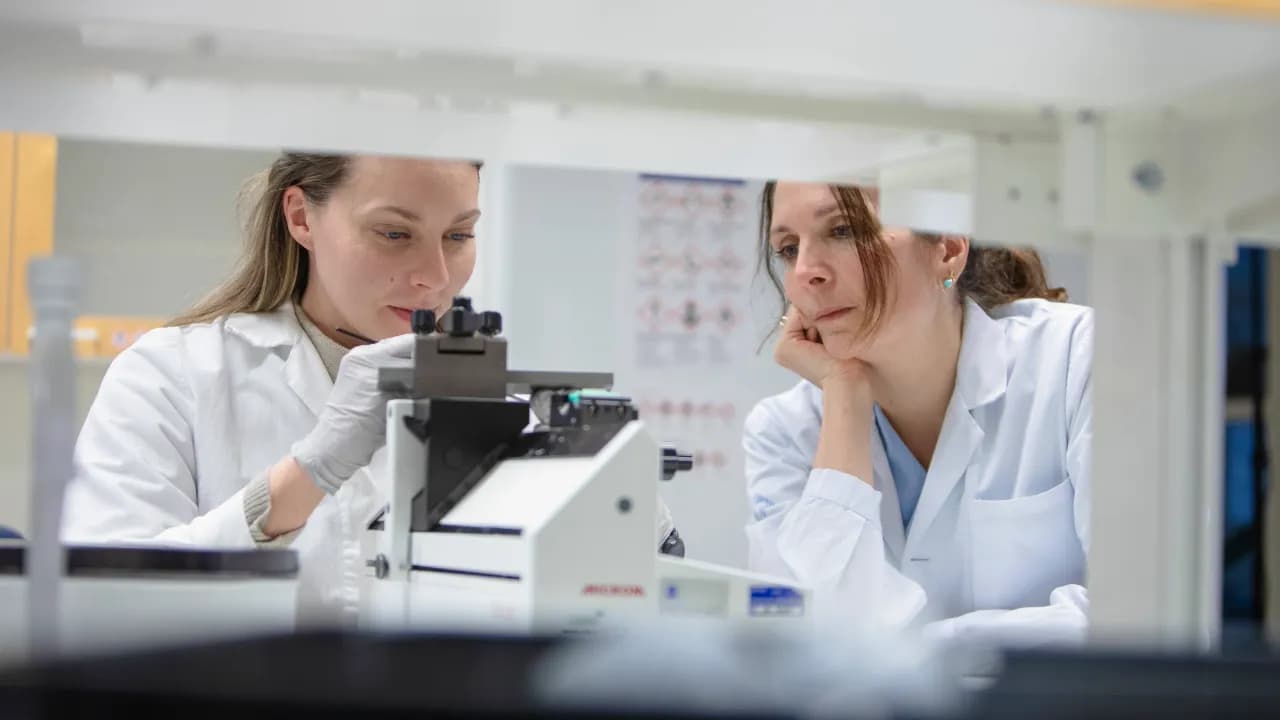 Karin Forsberg.