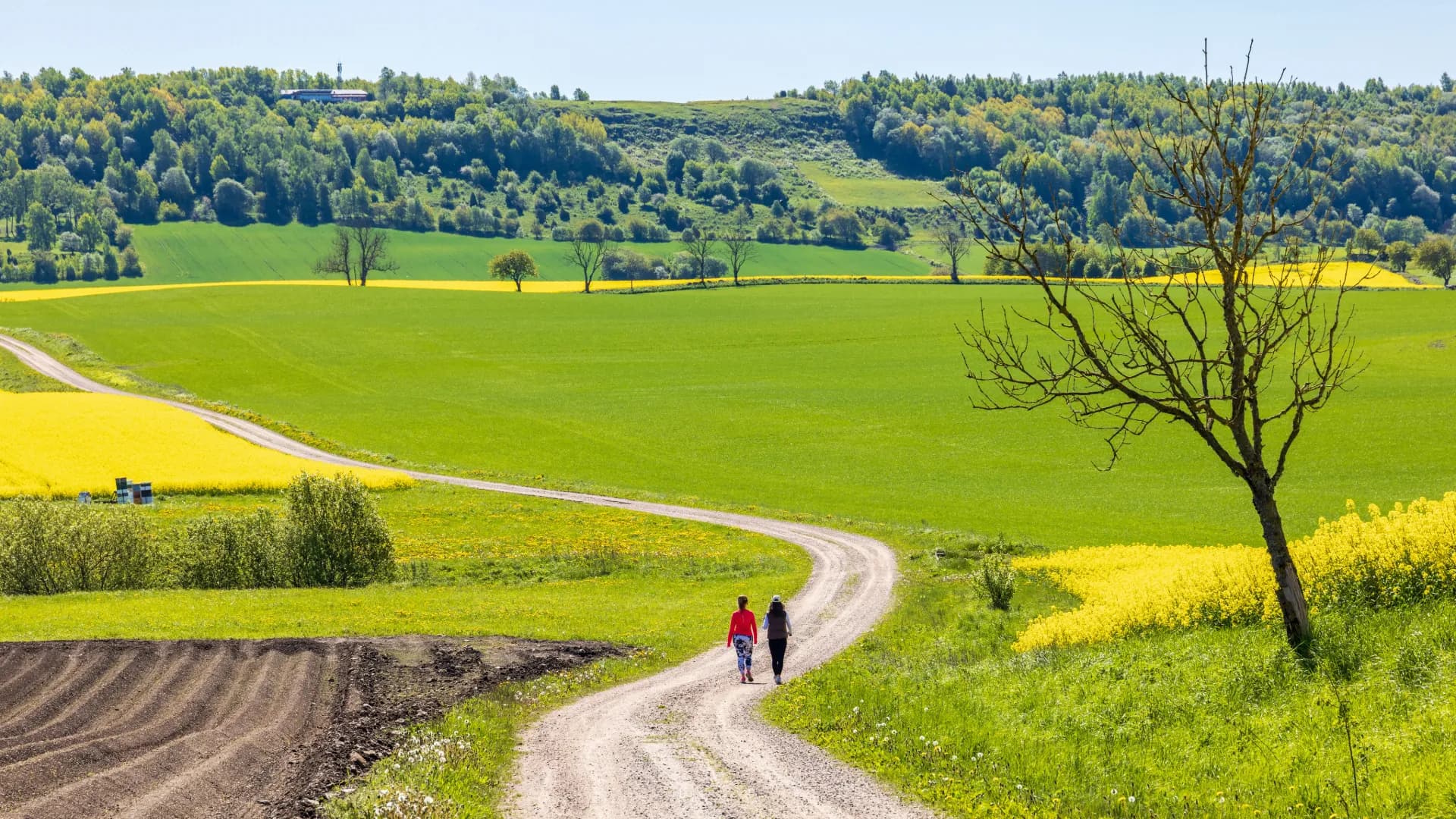 Två kvinnor promenerar längs grusväg.